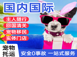 杭州萧山机场邮寄国际宠物托运 【国